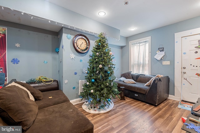 living room featuring hardwood / wood-style floors