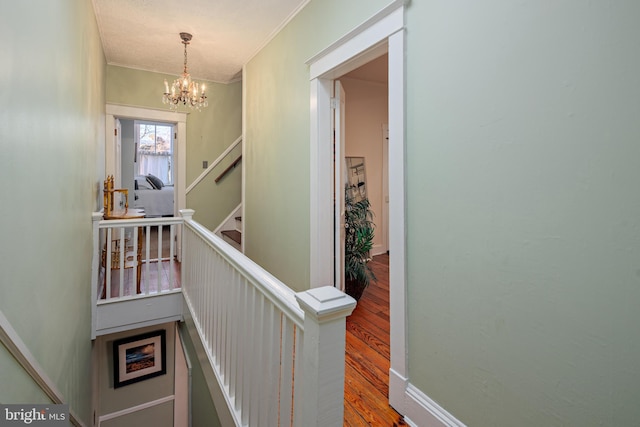 hall with a chandelier, hardwood / wood-style floors, and ornamental molding