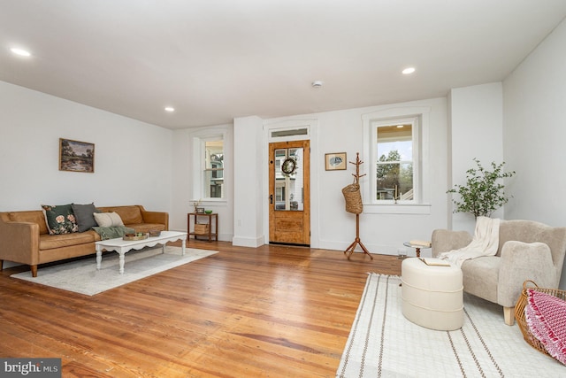 living room with hardwood / wood-style floors