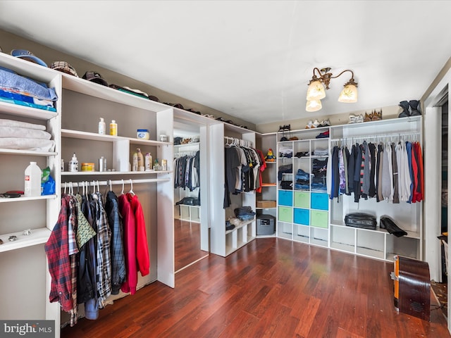 spacious closet with hardwood / wood-style floors