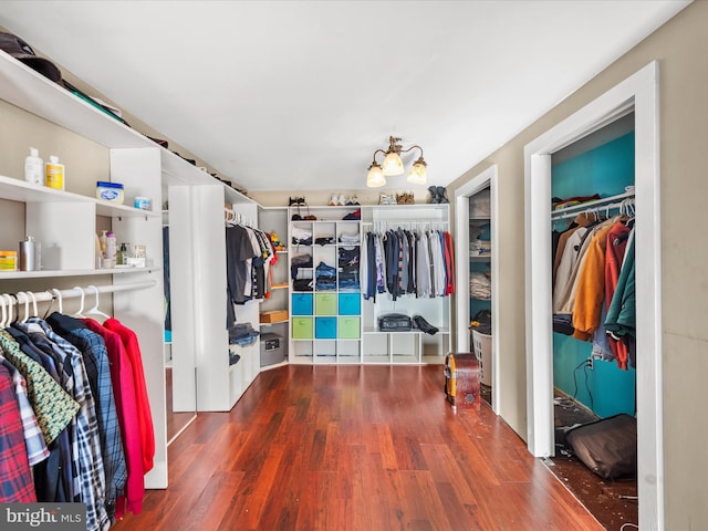 spacious closet with dark hardwood / wood-style flooring