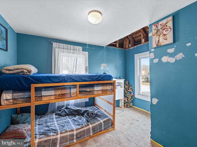 bedroom featuring carpet