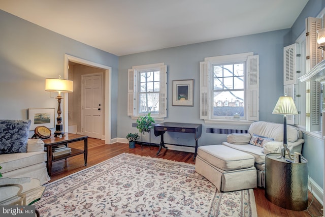 living room with wood-type flooring