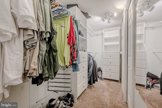 spacious closet featuring light carpet