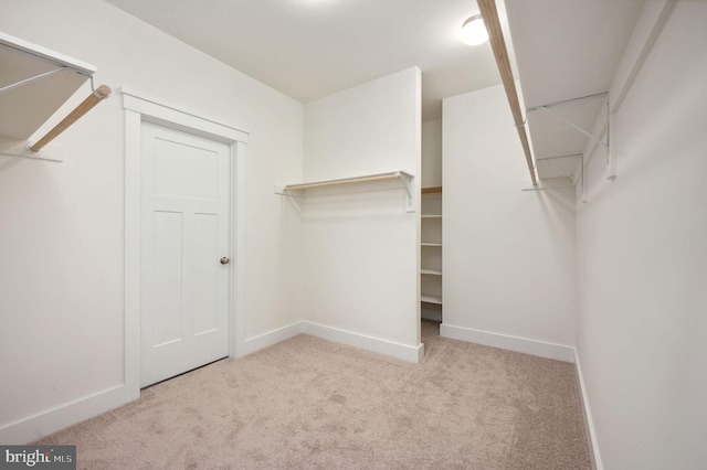 spacious closet featuring light carpet