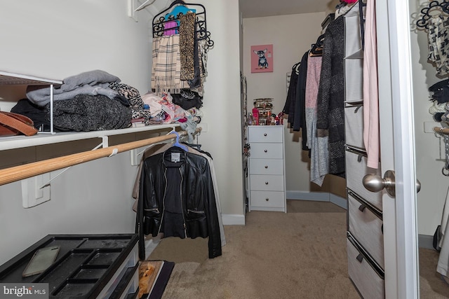 walk in closet featuring carpet floors