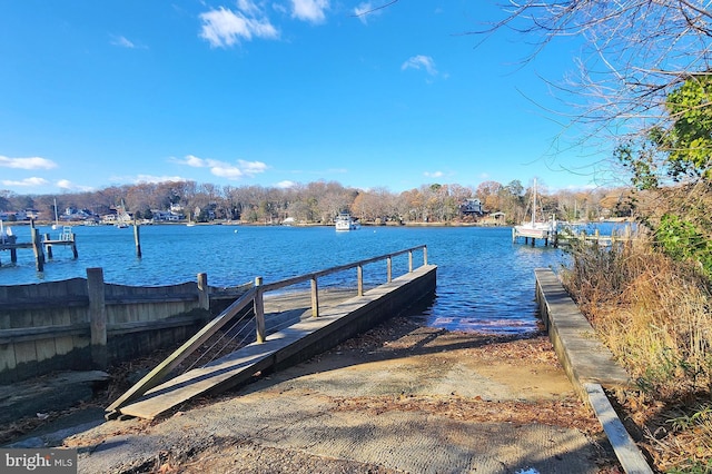 dock area with a water view