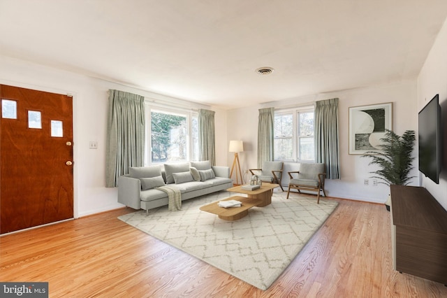 living room with a healthy amount of sunlight and light wood-type flooring