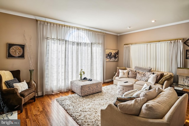 living room with hardwood / wood-style floors and crown molding