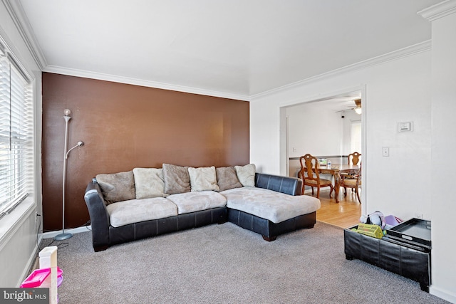 carpeted living room with ceiling fan and crown molding