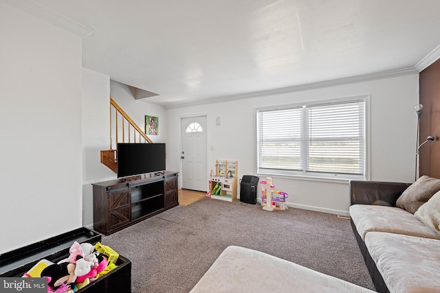 living room with carpet and ornamental molding