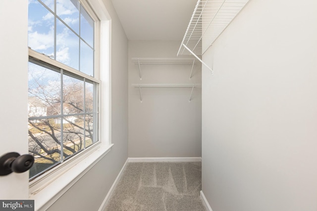 spacious closet featuring light carpet