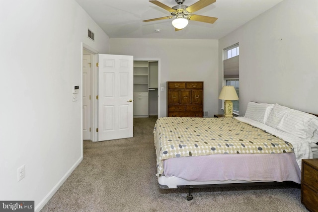 bedroom with carpet flooring, ceiling fan, a spacious closet, and a closet