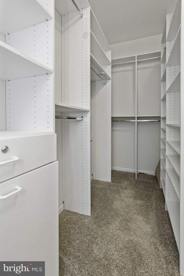 spacious closet with carpet