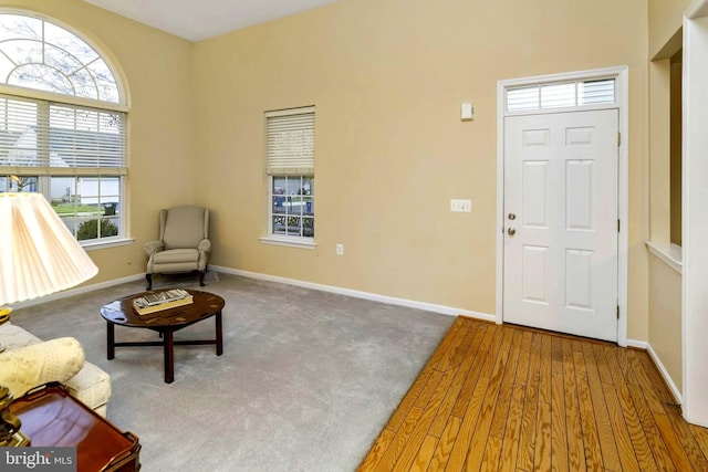 foyer with a healthy amount of sunlight and wood-type flooring