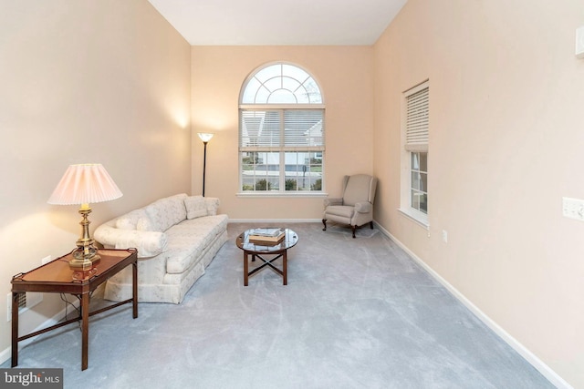 living area with light colored carpet