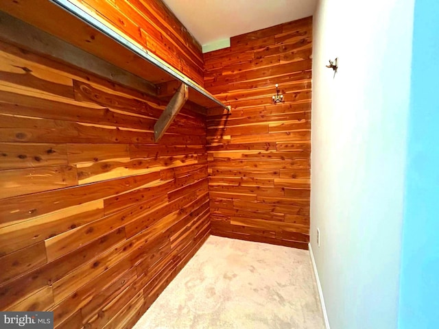 spacious closet featuring carpet floors