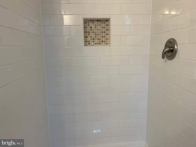 interior details with tiled shower