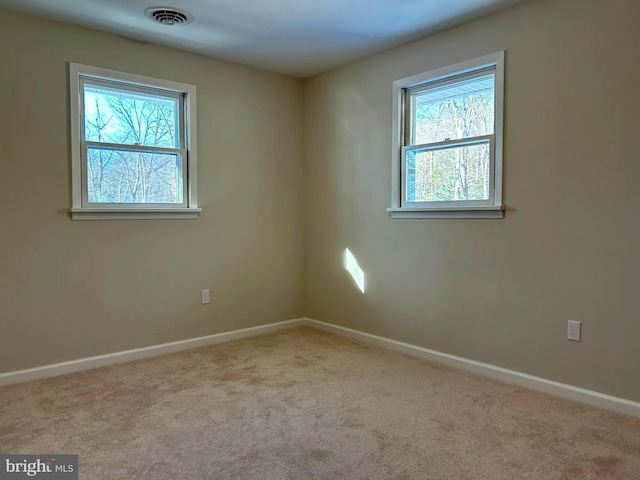 empty room with light carpet and a wealth of natural light