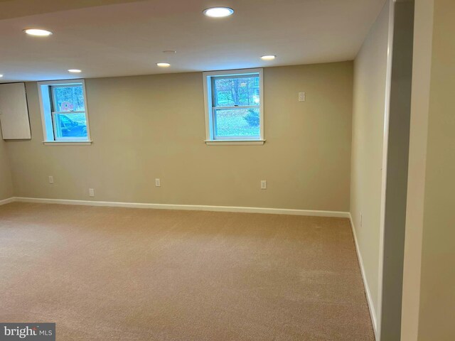 basement featuring carpet flooring