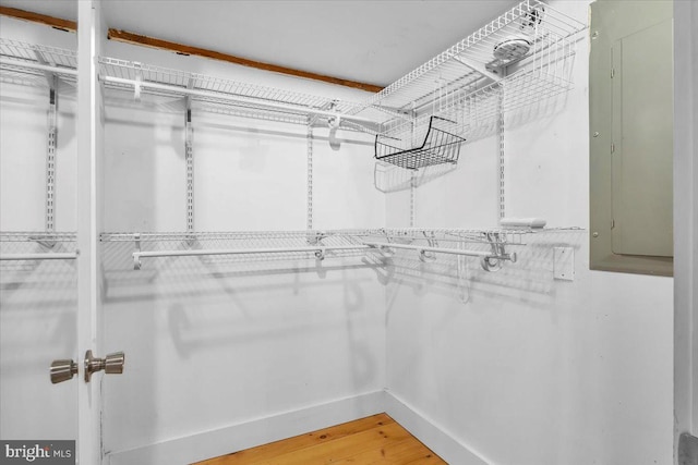 walk in closet featuring electric panel and wood finished floors