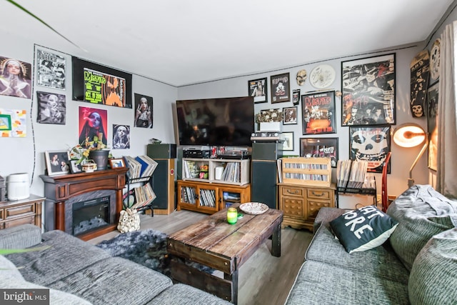 living room with hardwood / wood-style floors