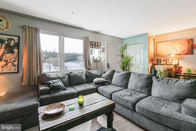 living room with hardwood / wood-style floors