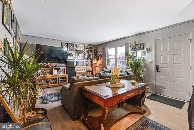 living room with hardwood / wood-style flooring