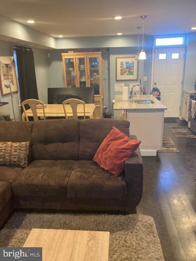 living room featuring dark hardwood / wood-style floors and sink