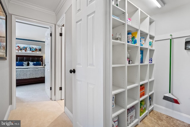 interior space with light carpet and ornamental molding