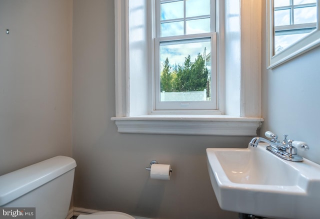 bathroom featuring toilet, plenty of natural light, and sink