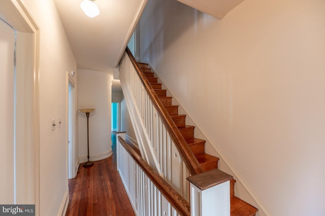 stairway with hardwood / wood-style floors