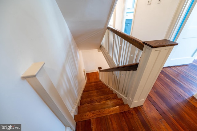 staircase with hardwood / wood-style floors