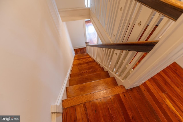 stairs with hardwood / wood-style flooring