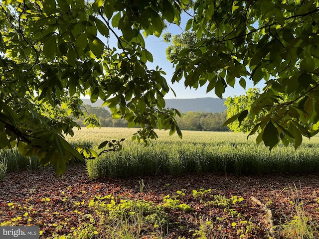 view of landscape with a mountain view and a rural view