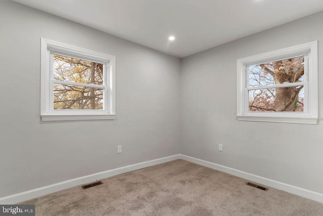 carpeted empty room with plenty of natural light