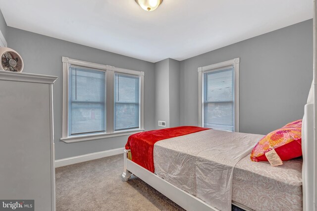 bedroom featuring multiple windows and carpet