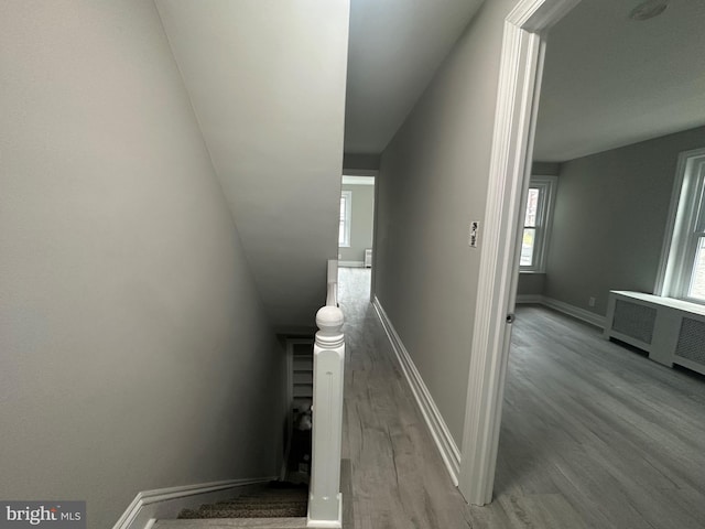 staircase with hardwood / wood-style floors and radiator heating unit