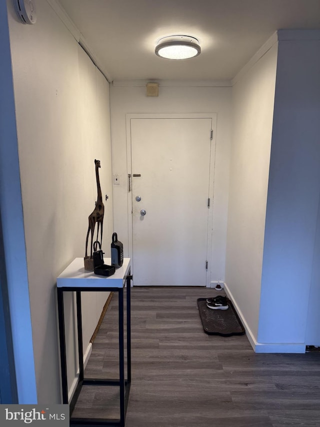 entryway featuring ornamental molding and dark wood-type flooring