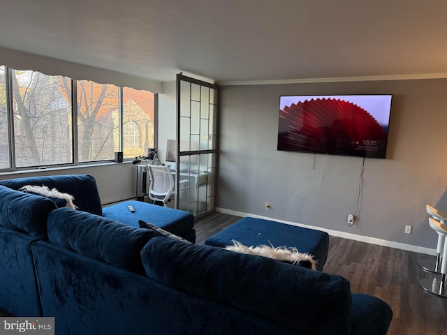 living room with crown molding and wood-type flooring