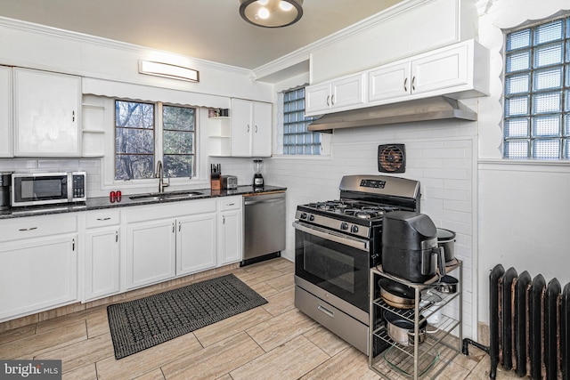 kitchen with appliances with stainless steel finishes, radiator heating unit, a wealth of natural light, and sink