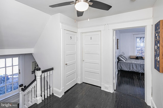 corridor featuring plenty of natural light, dark hardwood / wood-style flooring, and lofted ceiling