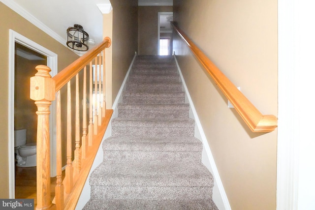 stairs with ornamental molding and carpet floors