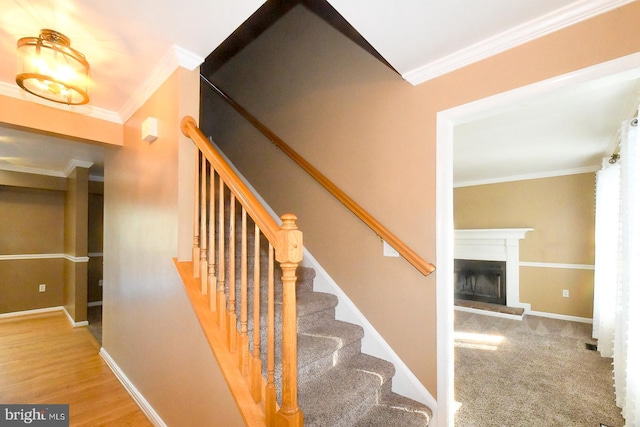 stairway featuring wood-type flooring and crown molding