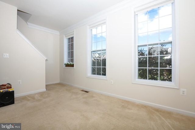 spare room featuring light colored carpet and ornamental molding