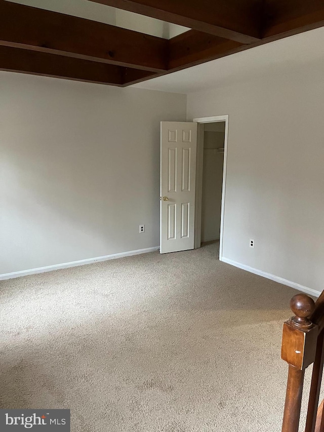 spare room with carpet