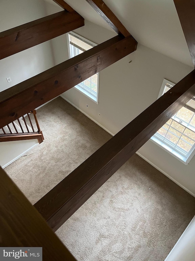 bonus room with carpet flooring