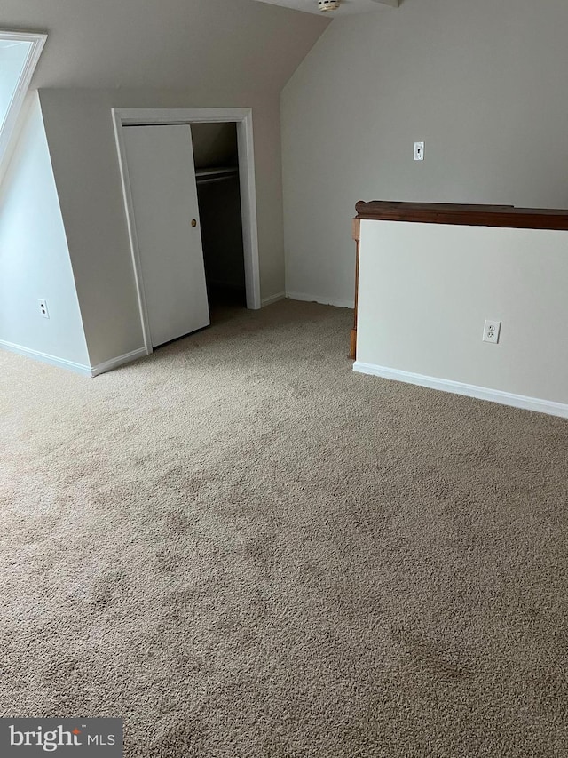 interior space featuring carpet and vaulted ceiling