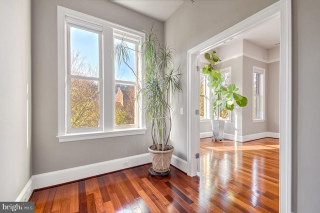 interior space with hardwood / wood-style flooring