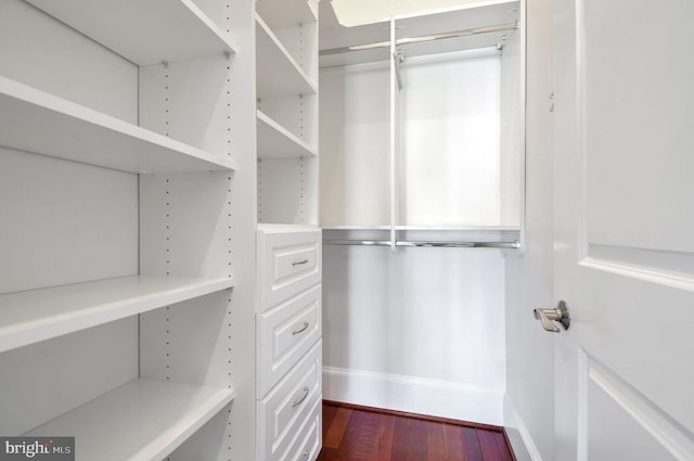 walk in closet with wood-type flooring